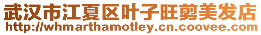 武漢市江夏區葉子旺剪美發店