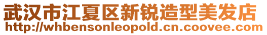 武漢市江夏區(qū)新銳造型美發(fā)店