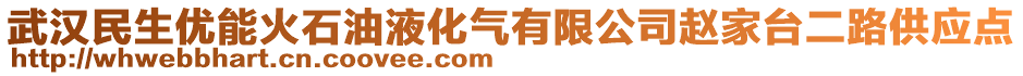 武漢民生優(yōu)能火石油液化氣有限公司趙家臺二路供應點