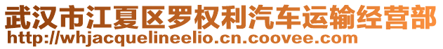 武漢市江夏區(qū)羅權(quán)利汽車運輸經(jīng)營部