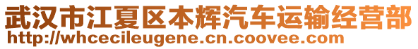 武漢市江夏區(qū)本輝汽車運(yùn)輸經(jīng)營(yíng)部