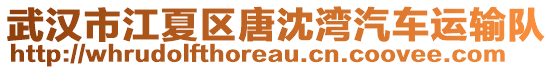 武漢市江夏區(qū)唐沈?yàn)称?chē)運(yùn)輸隊(duì)