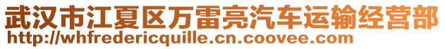 武漢市江夏區(qū)萬雷亮汽車運輸經(jīng)營部