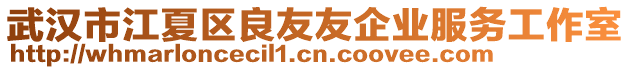 武漢市江夏區(qū)良友友企業(yè)服務工作室