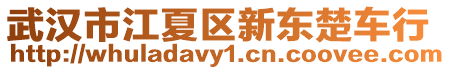 武漢市江夏區(qū)新東楚車行