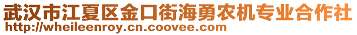 武漢市江夏區(qū)金口街海勇農(nóng)機(jī)專業(yè)合作社