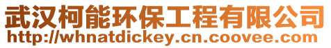武漢柯能環(huán)保工程有限公司