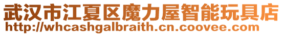 武漢市江夏區魔力屋智能玩具店