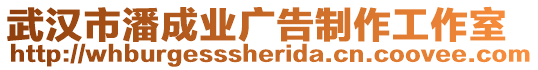 武漢市潘成業廣告制作工作室
