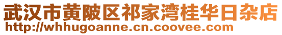 武漢市黃陂區祁家灣桂華日雜店