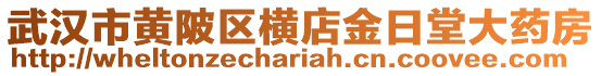 武漢市黃陂區橫店金日堂大藥房