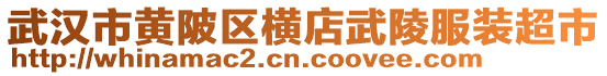 武漢市黃陂區(qū)橫店武陵服裝超市
