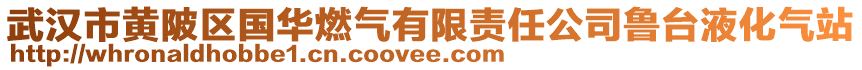 武漢市黃陂區(qū)國華燃氣有限責任公司魯臺液化氣站