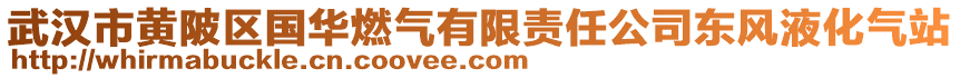 武漢市黃陂區國華燃氣有限責任公司東風液化氣站