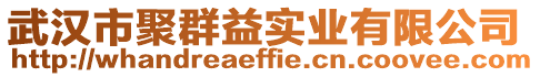 武漢市聚群益實業有限公司