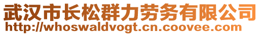 武漢市長(zhǎng)松群力勞務(wù)有限公司