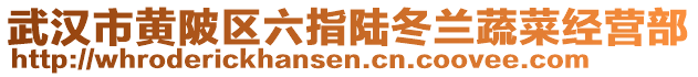 武漢市黃陂區(qū)六指陸冬蘭蔬菜經(jīng)營部