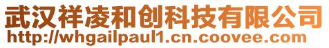 武漢祥凌和創科技有限公司