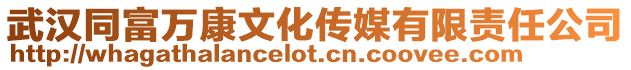 武漢同富萬(wàn)康文化傳媒有限責(zé)任公司