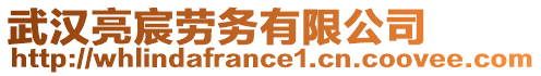 武漢亮宸勞務(wù)有限公司