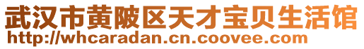 武漢市黃陂區(qū)天才寶貝生活館