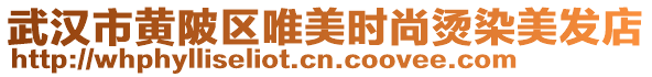 武漢市黃陂區(qū)唯美時(shí)尚燙染美發(fā)店