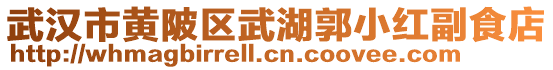 武漢市黃陂區武湖郭小紅副食店