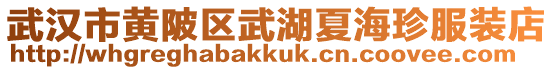 武漢市黃陂區武湖夏海珍服裝店