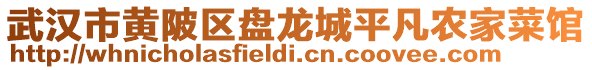 武漢市黃陂區盤龍城平凡農家菜館