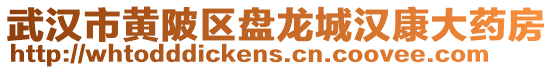 武漢市黃陂區盤龍城漢康大藥房