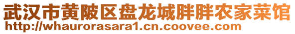 武漢市黃陂區(qū)盤龍城胖胖農(nóng)家菜館