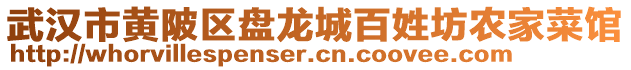 武汉市黄陂区盘龙城百姓坊农家菜馆