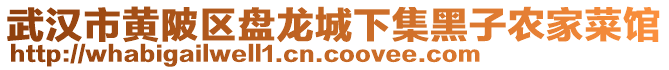 武漢市黃陂區(qū)盤龍城下集黑子農(nóng)家菜館