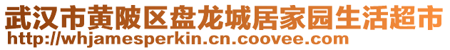 武漢市黃陂區(qū)盤(pán)龍城居家園生活超市