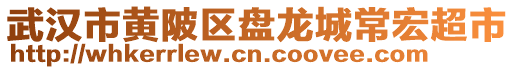 武漢市黃陂區盤龍城常宏超市