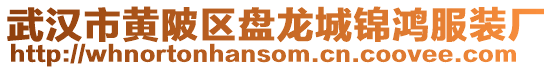 武漢市黃陂區盤龍城錦鴻服裝廠