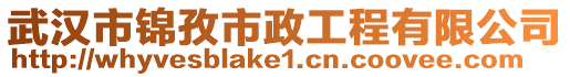 武漢市錦孜市政工程有限公司