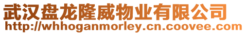 武漢盤龍隆威物業(yè)有限公司