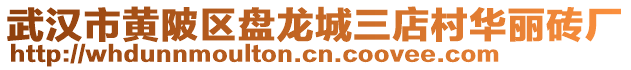 武漢市黃陂區盤龍城三店村華麗磚廠