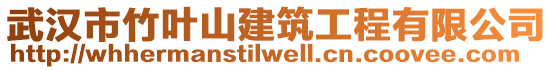 武漢市竹葉山建筑工程有限公司