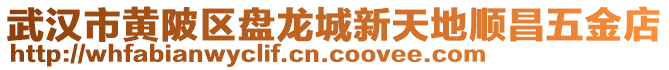 武漢市黃陂區盤龍城新天地順昌五金店