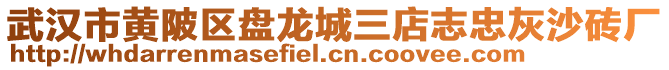 武漢市黃陂區(qū)盤龍城三店志忠灰沙磚廠