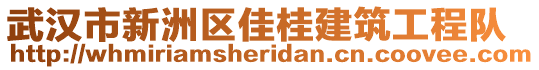武漢市新洲區佳桂建筑工程隊