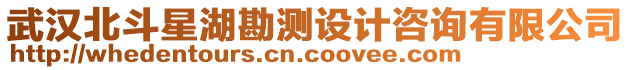 武漢北斗星湖勘測設計咨詢有限公司