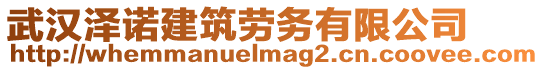 武漢澤諾建筑勞務有限公司