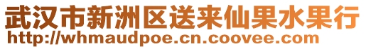 武漢市新洲區送來仙果水果行