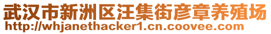 武漢市新洲區(qū)汪集街彥章養(yǎng)殖場(chǎng)