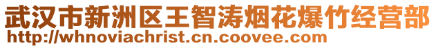 武汉市新洲区王智涛烟花爆竹经营部