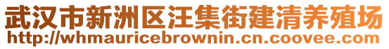 武汉市新洲区汪集街建清养殖场