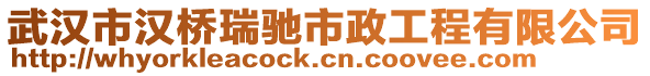 武漢市漢橋瑞馳市政工程有限公司